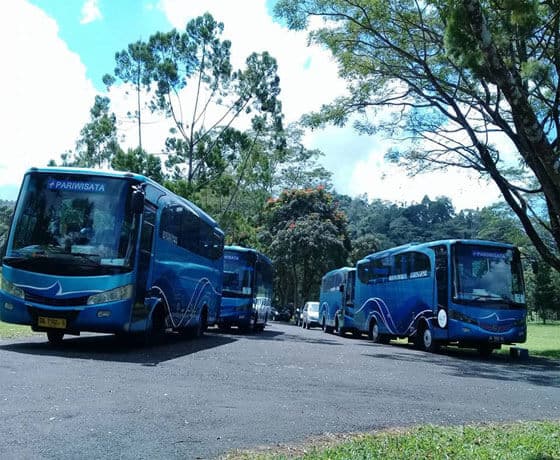 Banner rental mobil bus wisata manado 33, 40, 48 seat